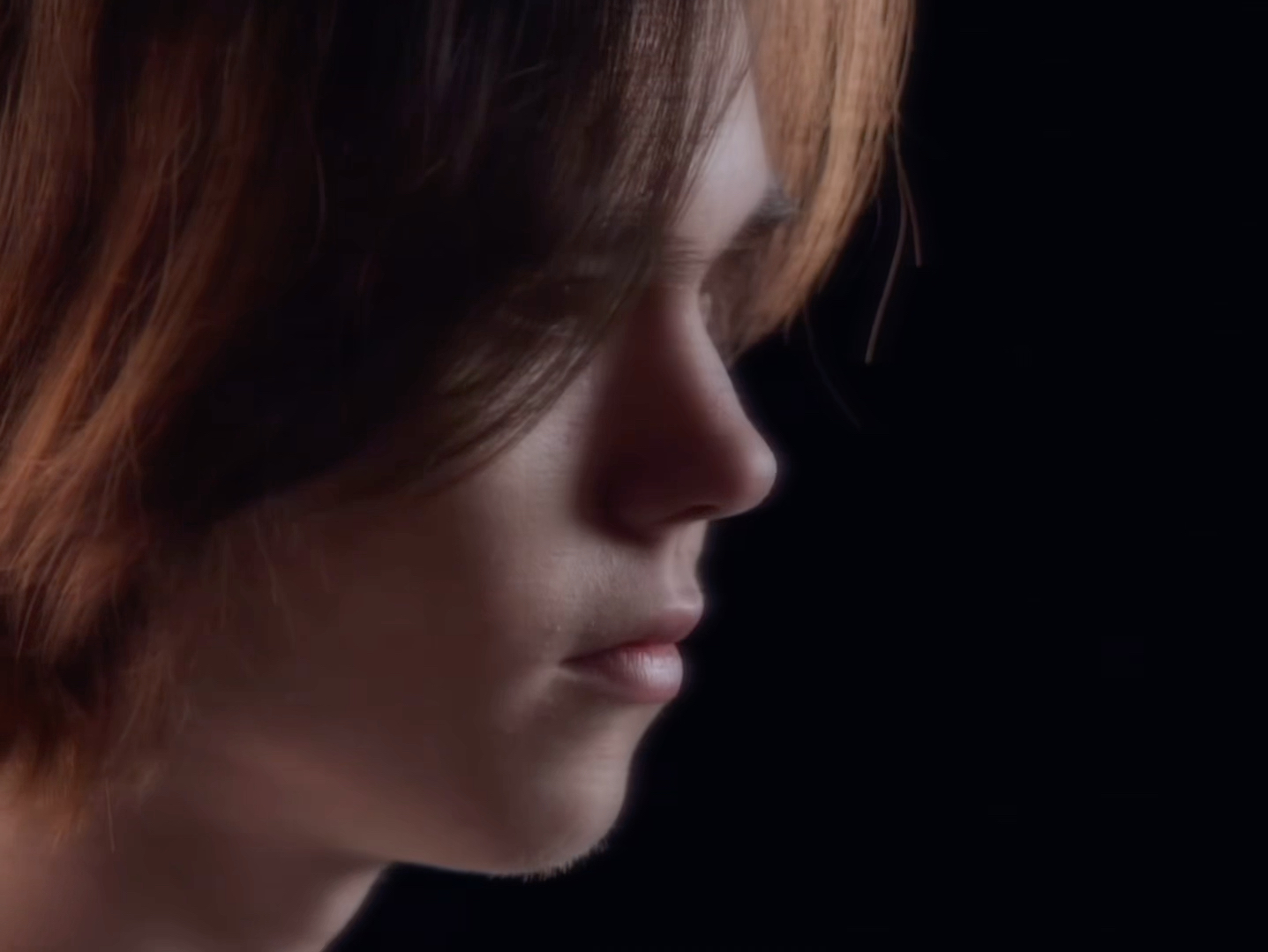 文化展区的 文化展区的