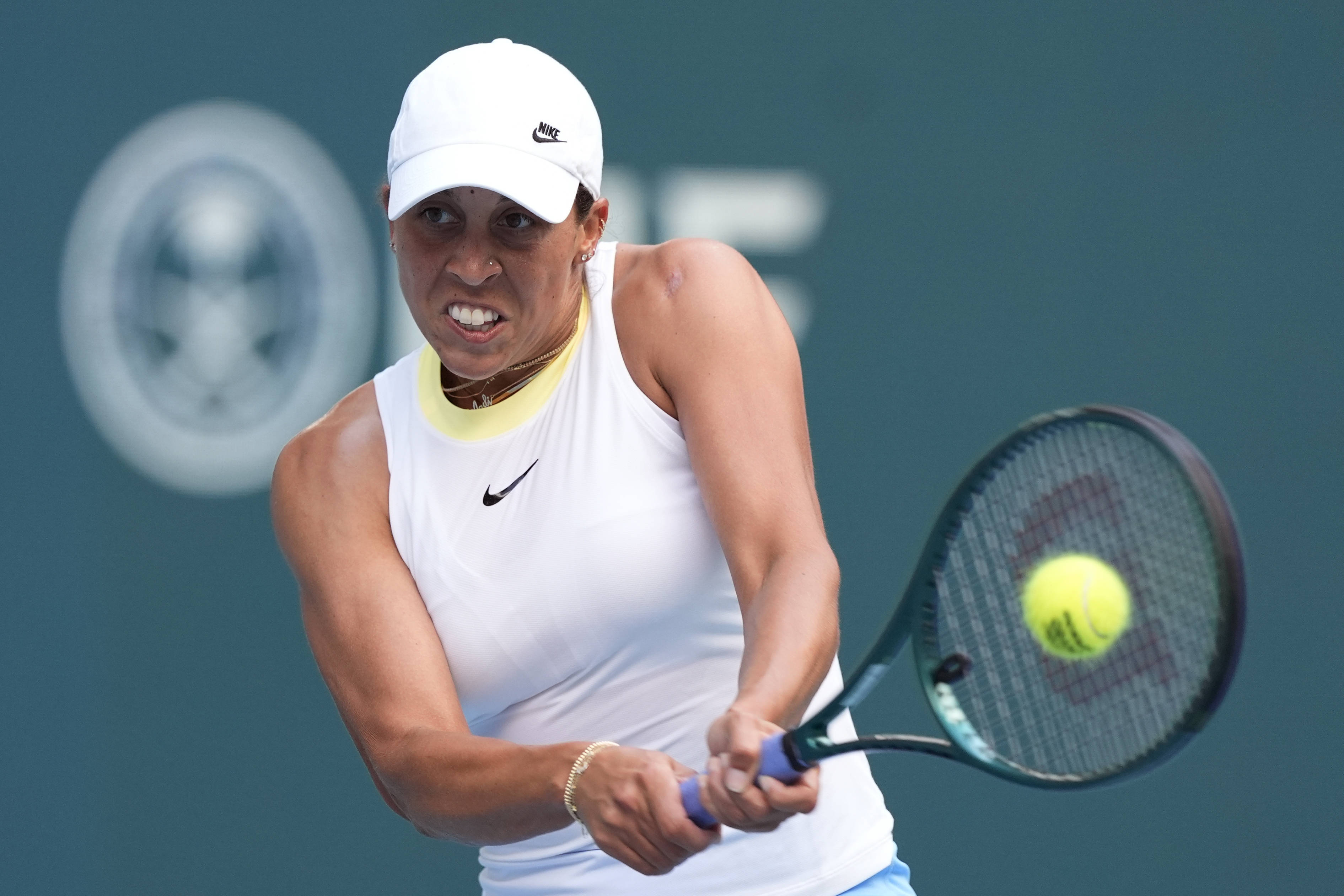 花的山东进 花的山东进